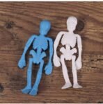 6pieces Skeleton Skull StrecherToys Vibrant Safe Skeleton Kids Stretchy for Kids/Adults Silent Fidget Toys(6 Pieces Random Colour) - Image 7