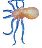 Soft Strecth Squishy Toys Octopus Squeeze Toys Stress Ball Toys for Kids Toys -1 pcs - Image 4