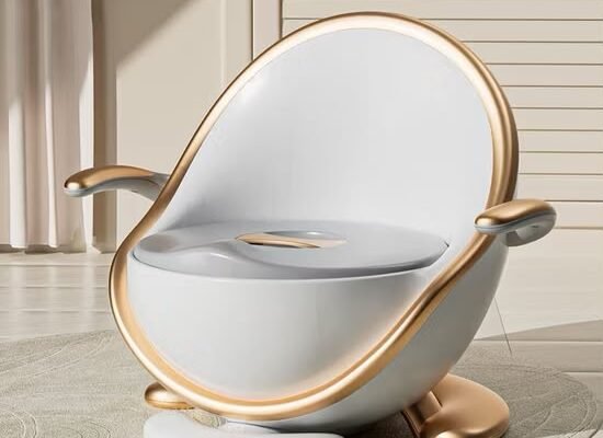 Richtots Premium Baby Potty Training Chair