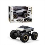 Richtots Premium Remote control Tesla metal - Image 4